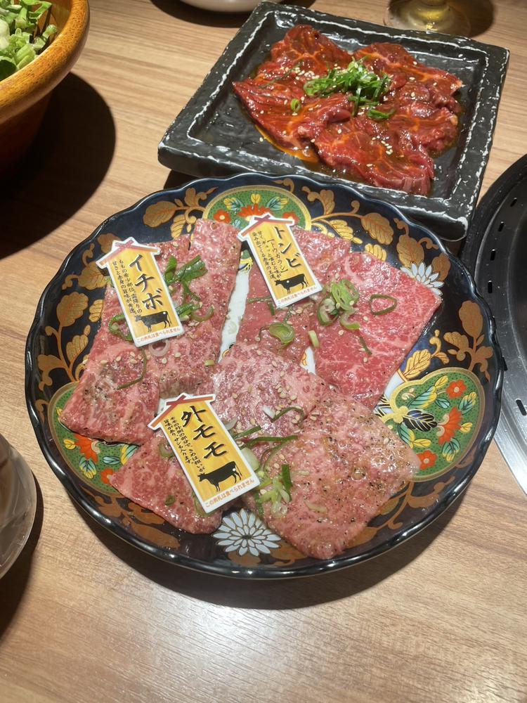 ♡ ••┈┈┈┈┈┈┈┈•• ♡