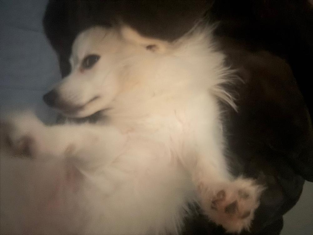 ꒰ᐢ⸝⸝´ඉᯅඉ⸝⸝ᐢ꒱