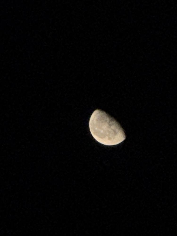 🌖✨