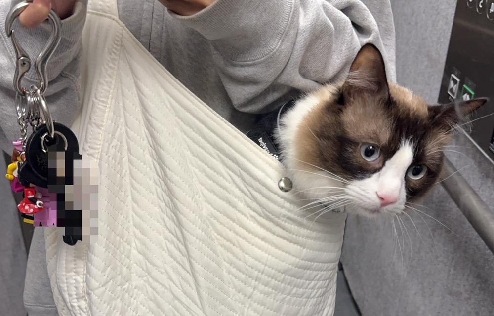 今日から3日間同伴無料イベントです🎪