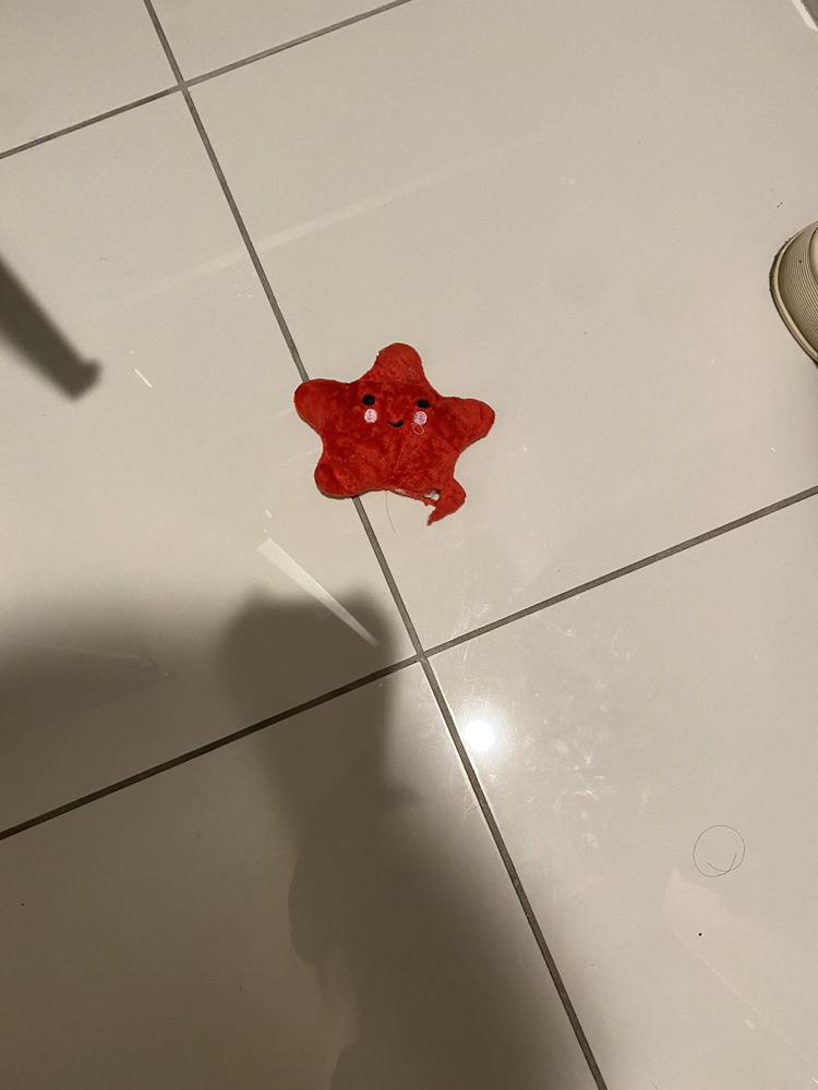 日曜シーシャ🍎