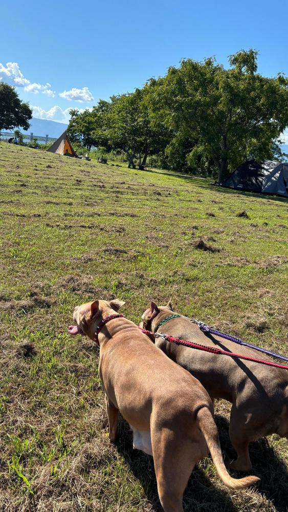 今週はポリスイベント‼️👮🚨