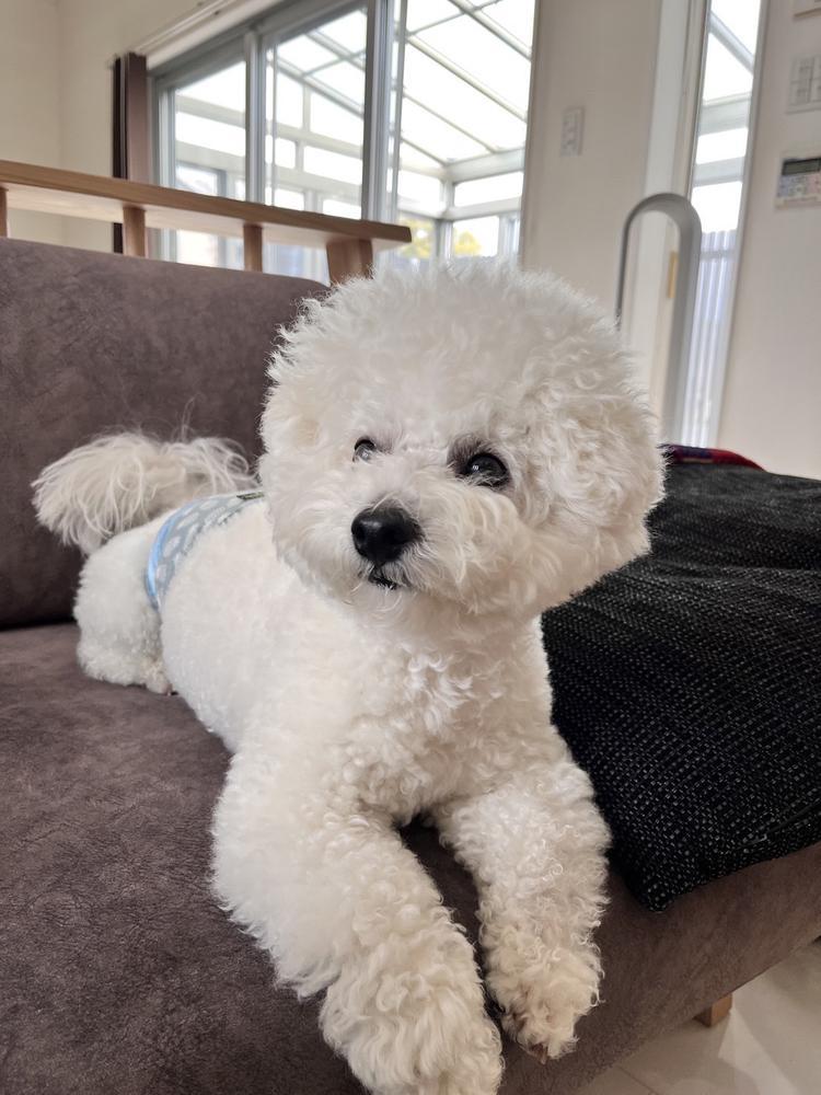 久しぶりに出勤！