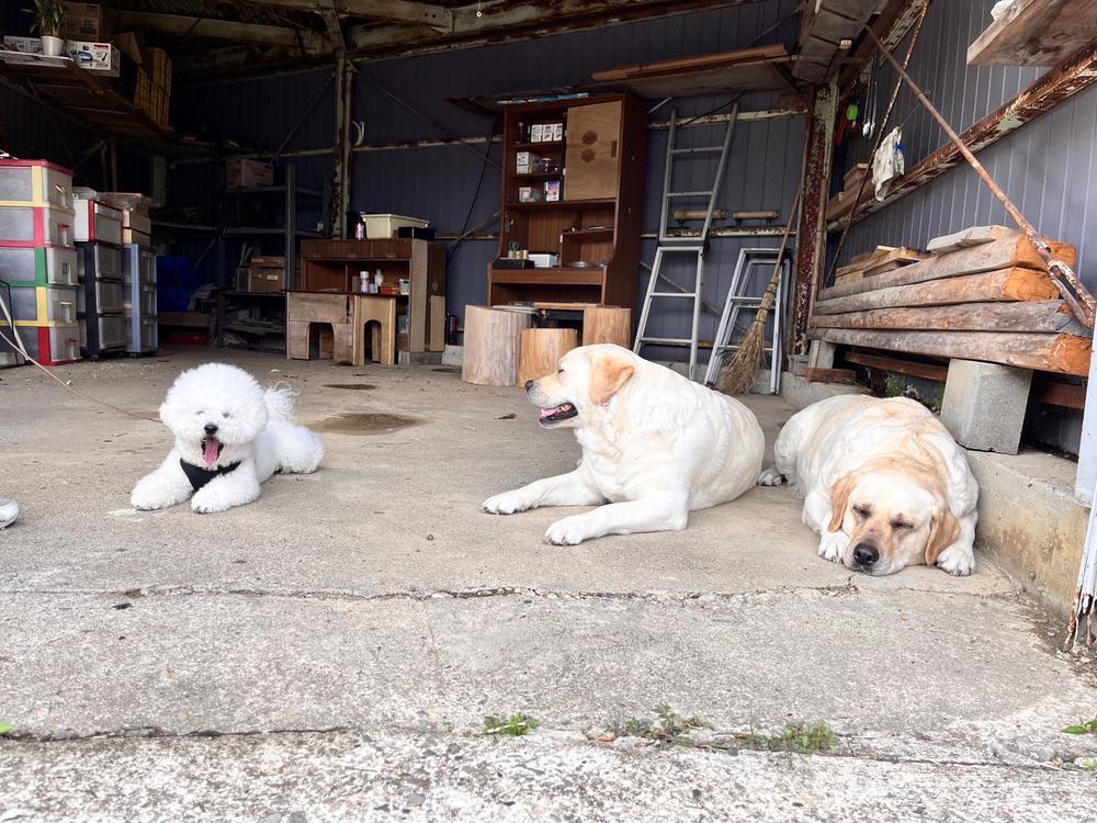 今日も出勤〜！