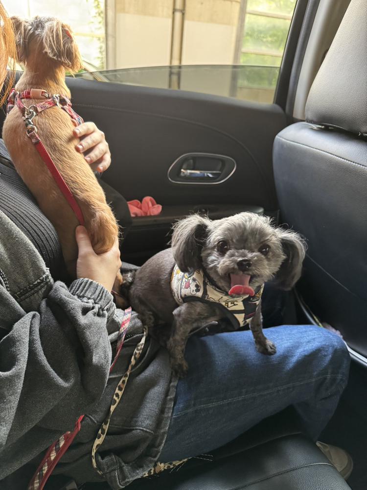 休みの日は☕️