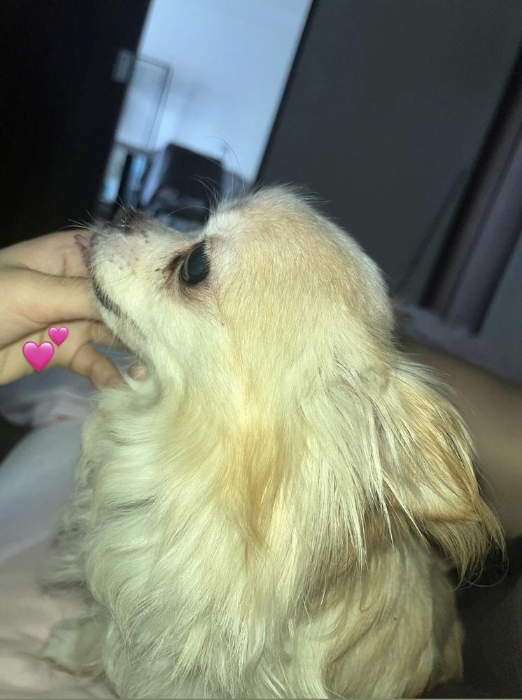 はじめまして🥹