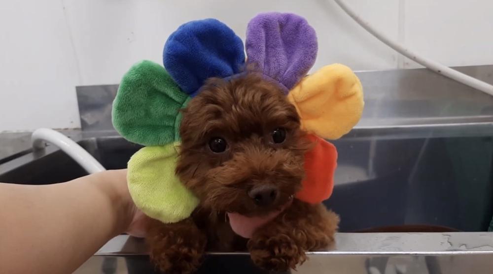 夏みたいな格好