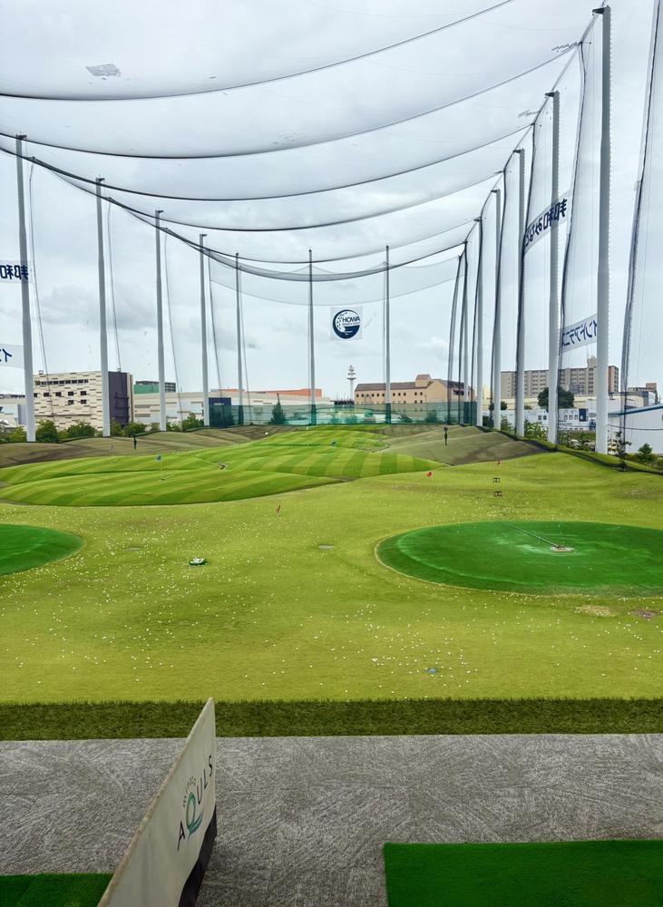 タジダジ⛳️💚💚