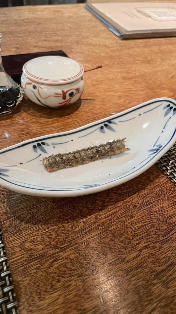 上に立つ者は下に立つ🫠