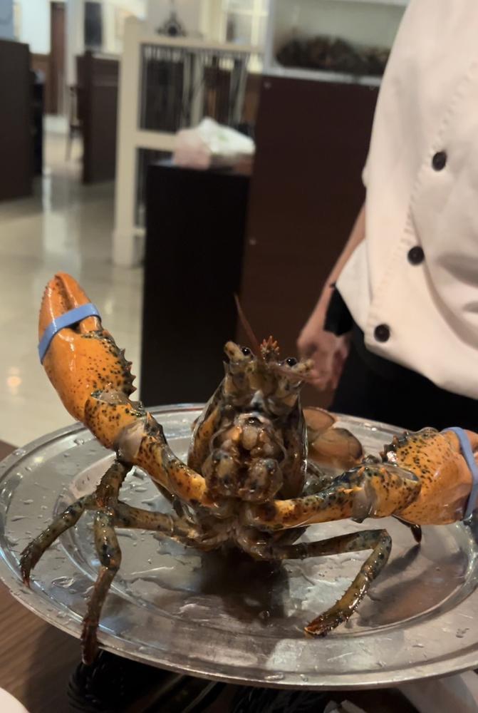 出勤🦞
