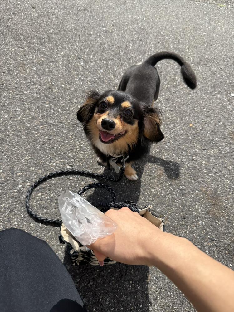 すうぱーあいしてる♡