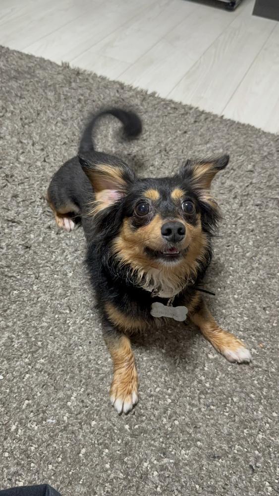 雨の日のお散歩