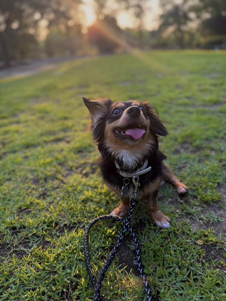 すばらしすばらし