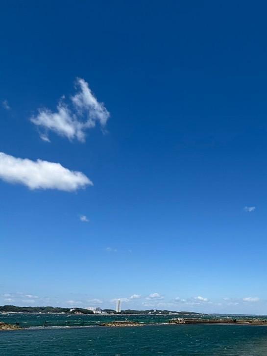 明日こそは、、、