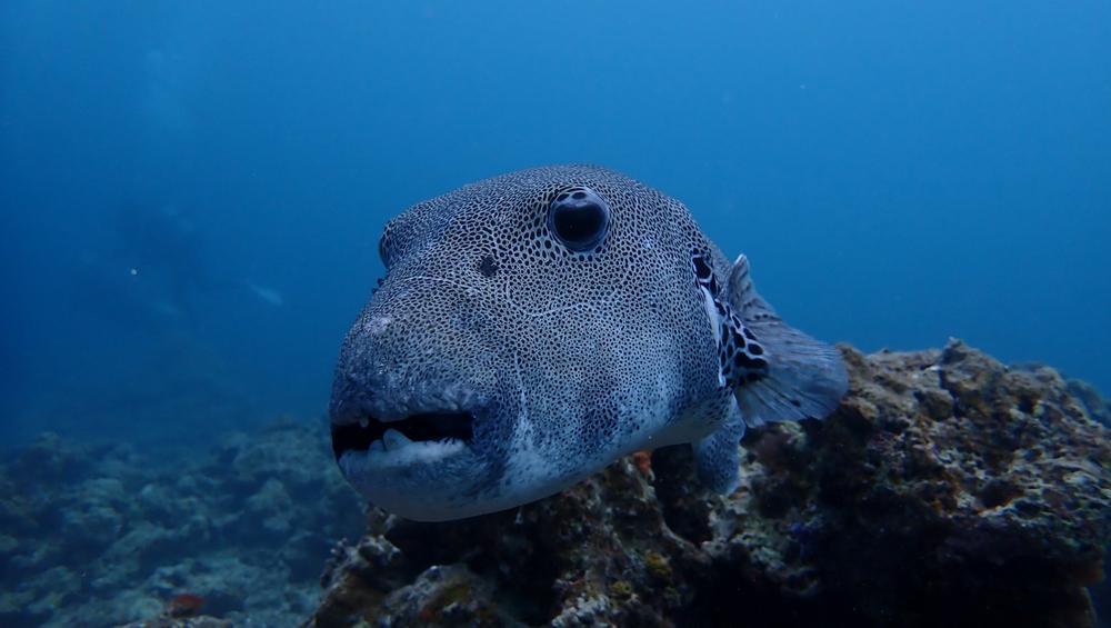 梅雨明けはいつ？