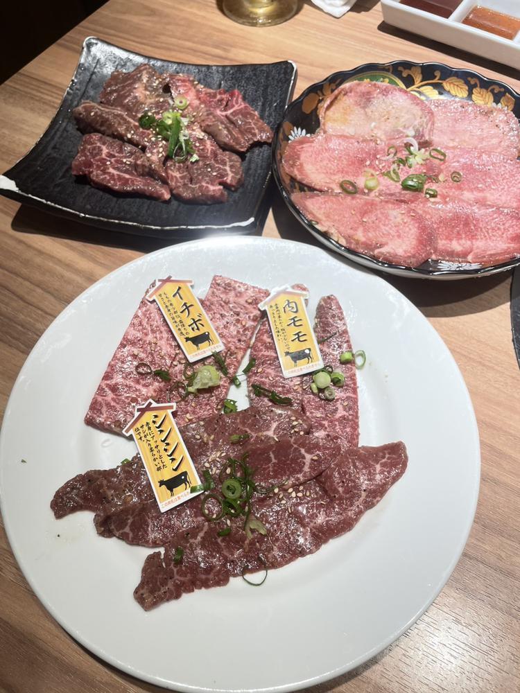 ♡ ••┈┈┈┈┈┈┈┈•• ♡