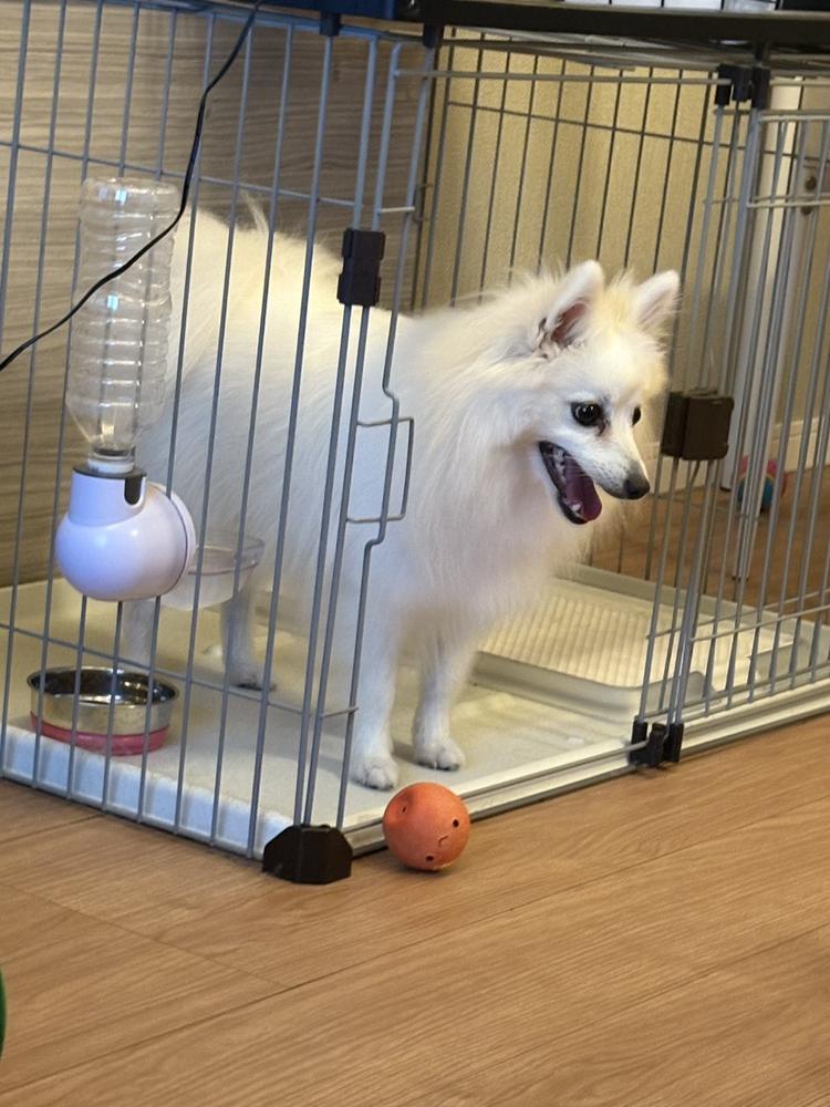 ﾎﾏ(ง ˘ω˘ )วﾎﾏ