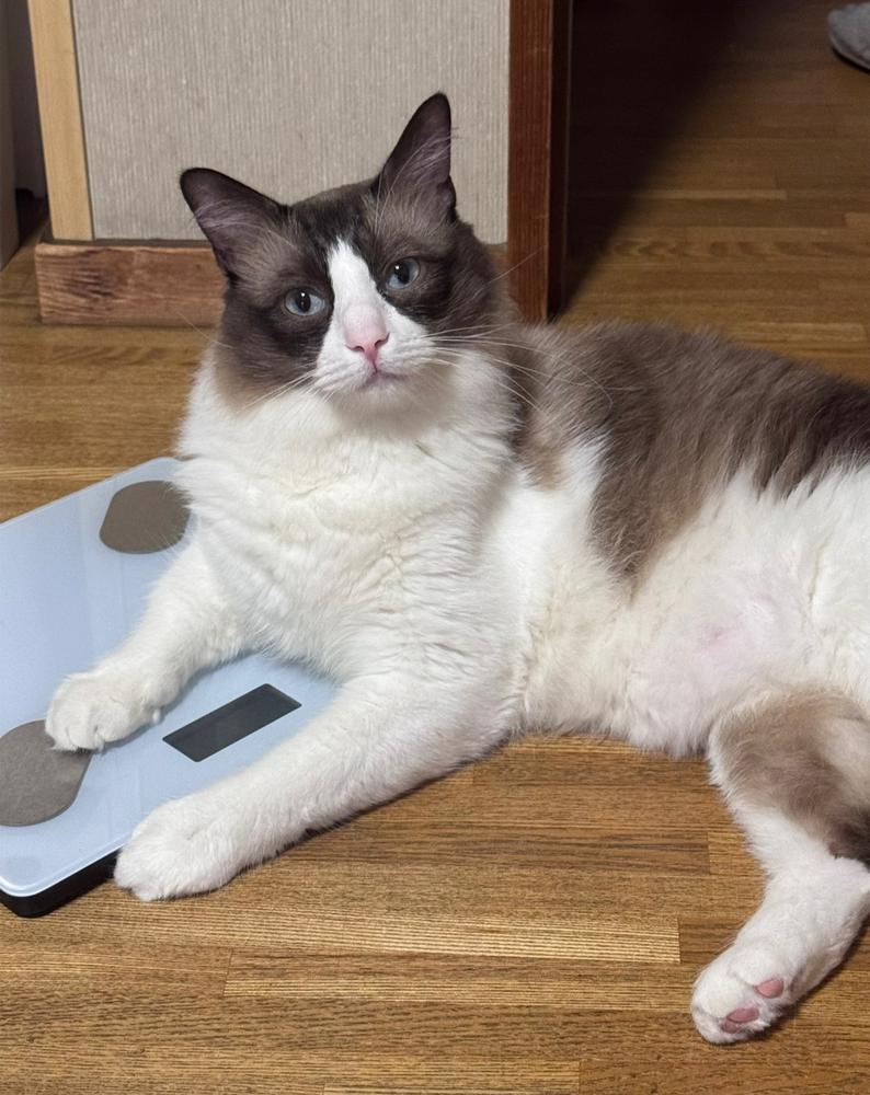 火曜日おはよー