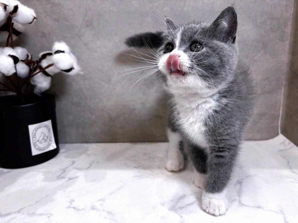 締め日(՞˶ᵒ̴̶̷᷄꒳ᵒ̴̶̷᷅ ˶՞)