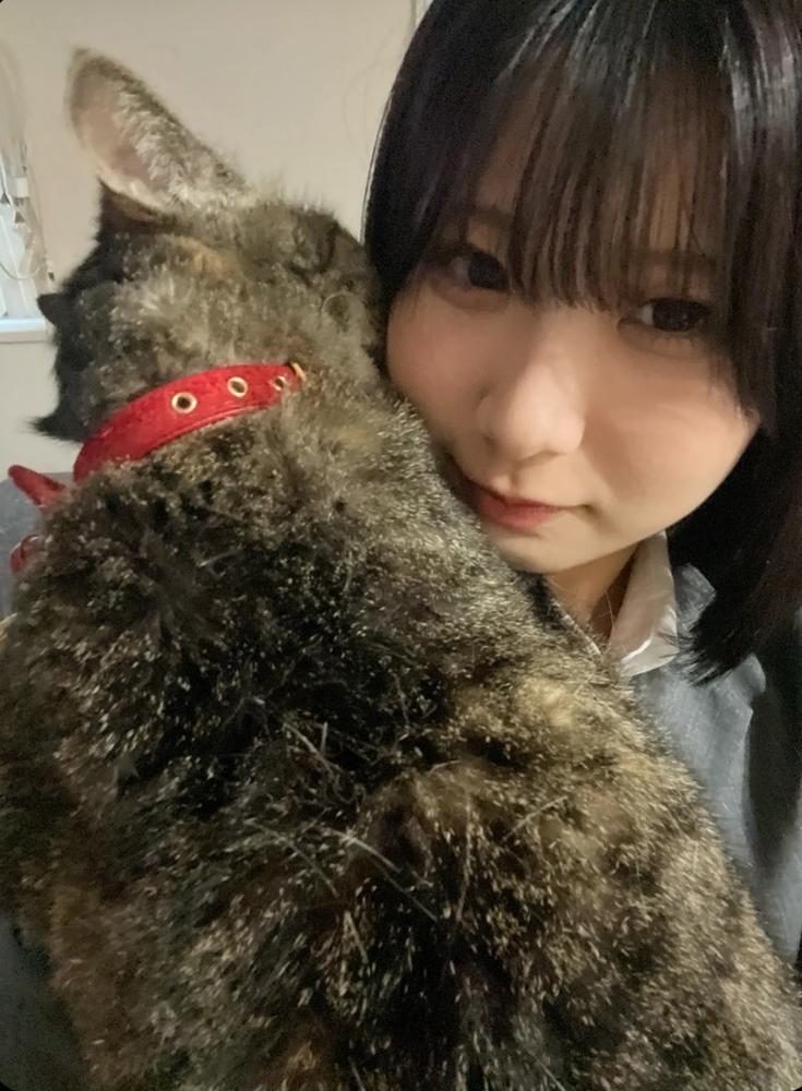 チャイナ出勤するよ〜