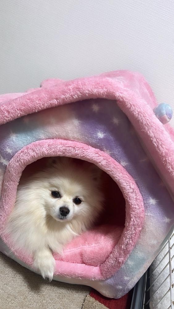 🌧️雨の日ってツライ🌀