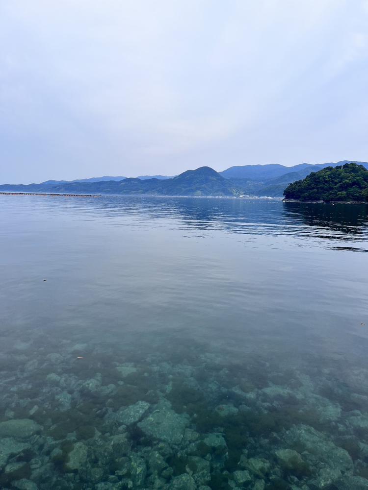 出勤しました♡