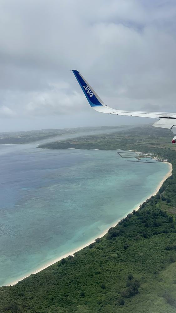 はじめまして、あんです🌷