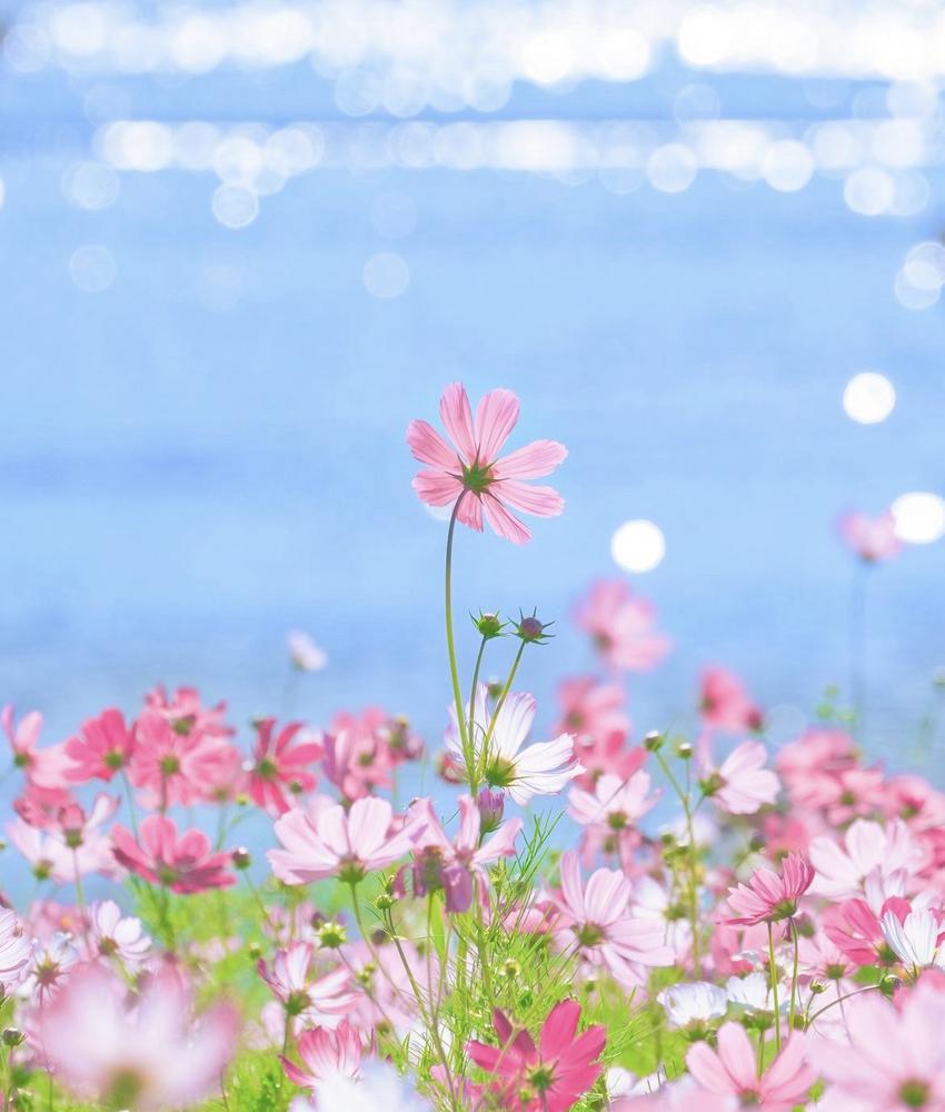 初めまして！ららです！