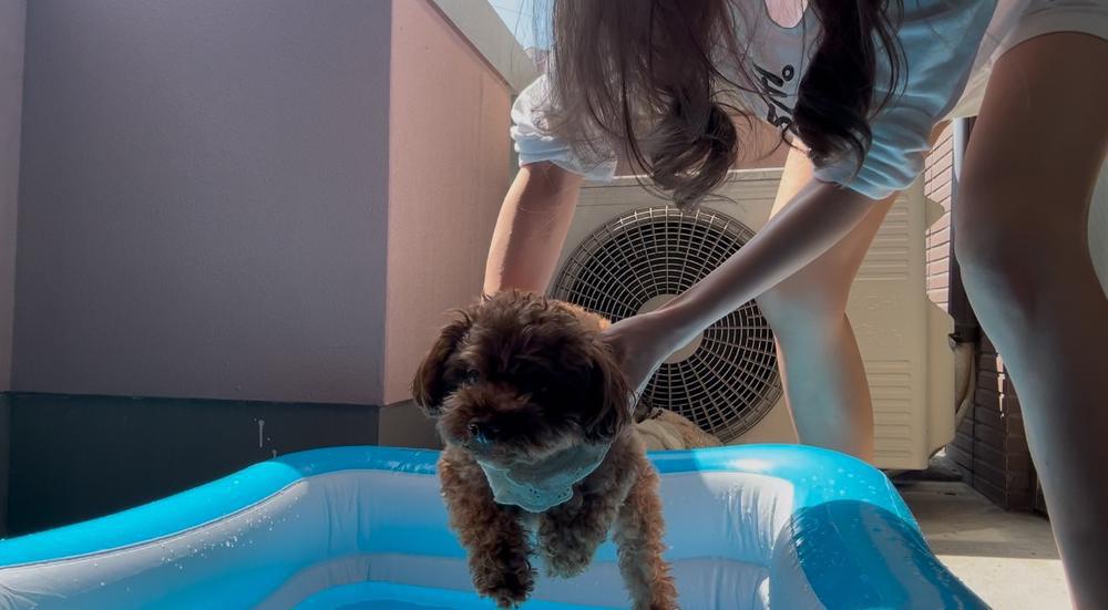 夏本当に苦手女