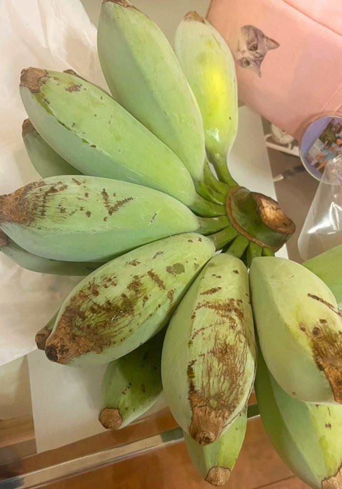 バーナーナー😂ww