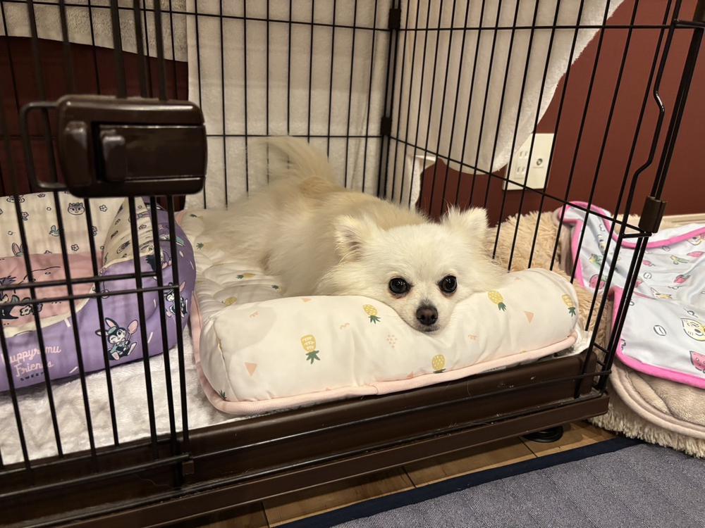 ランウェイリニューアルしてまっせ