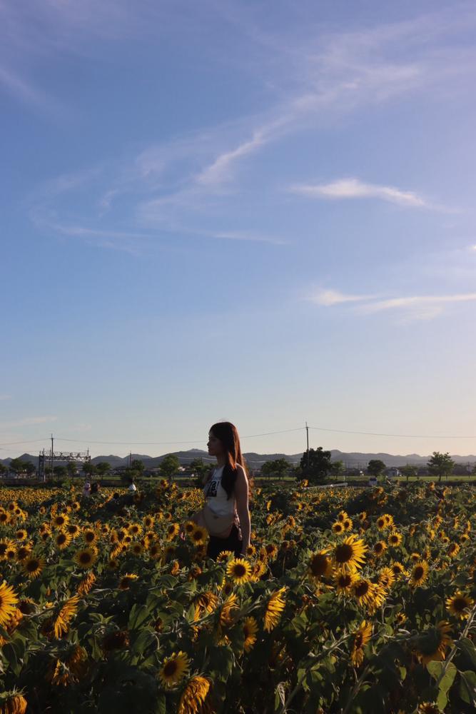 おっはーん☀️