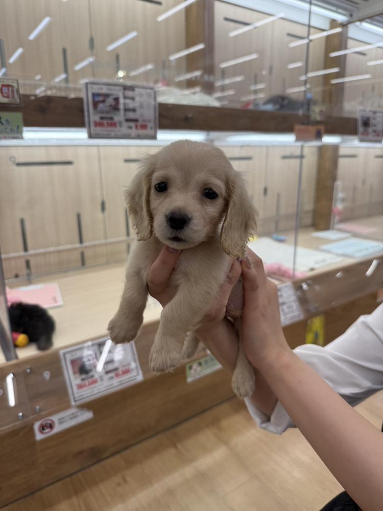 ⚠️お休み⚠️