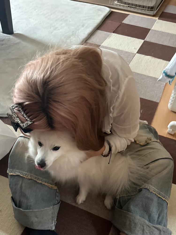 かわいいスピッツ🐶