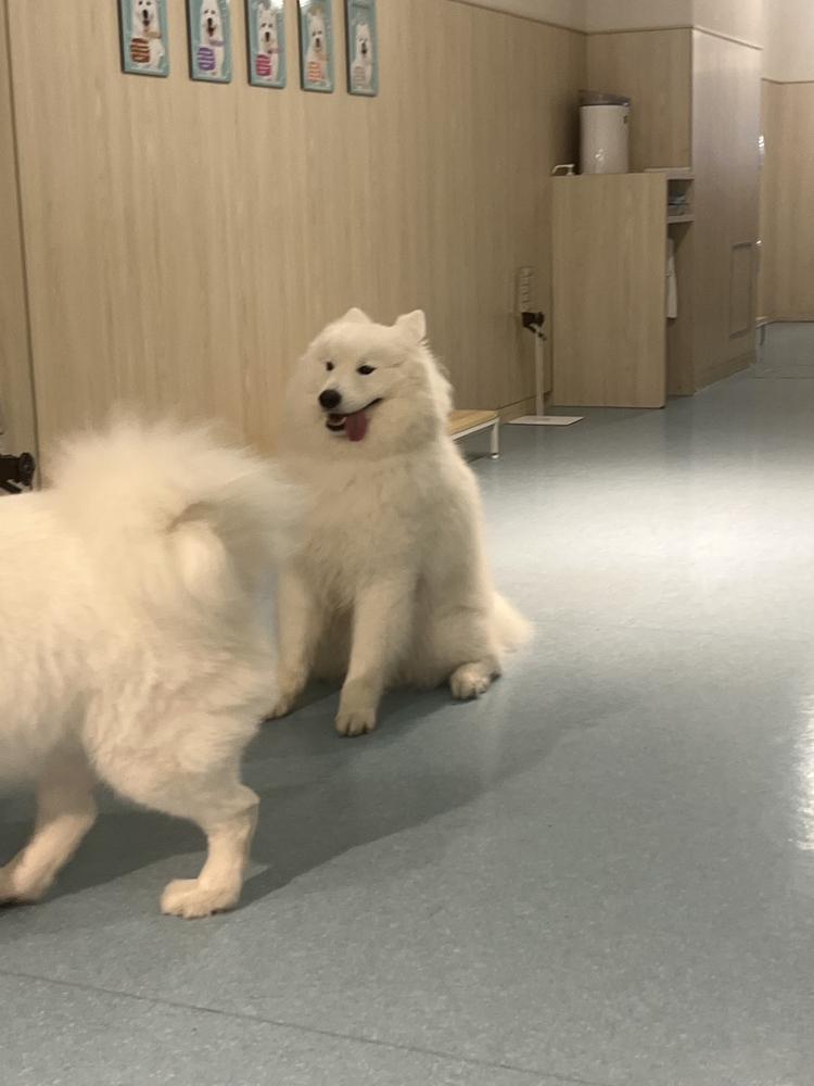 ずーと忘れてた😱