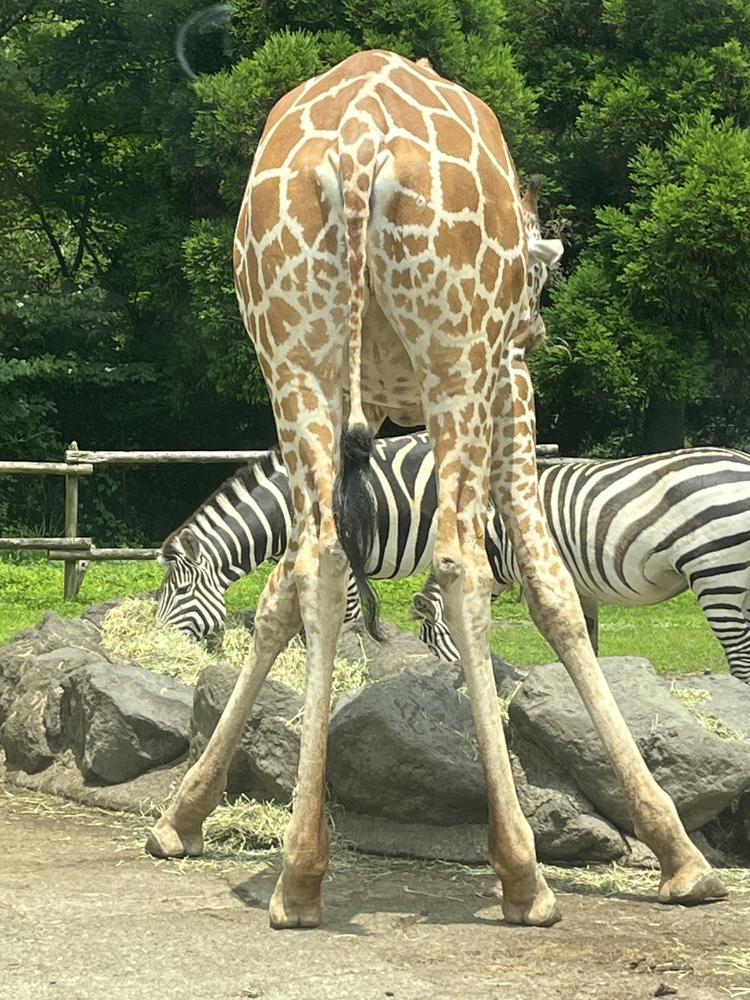 今日から後半戦っ❤️‍🔥