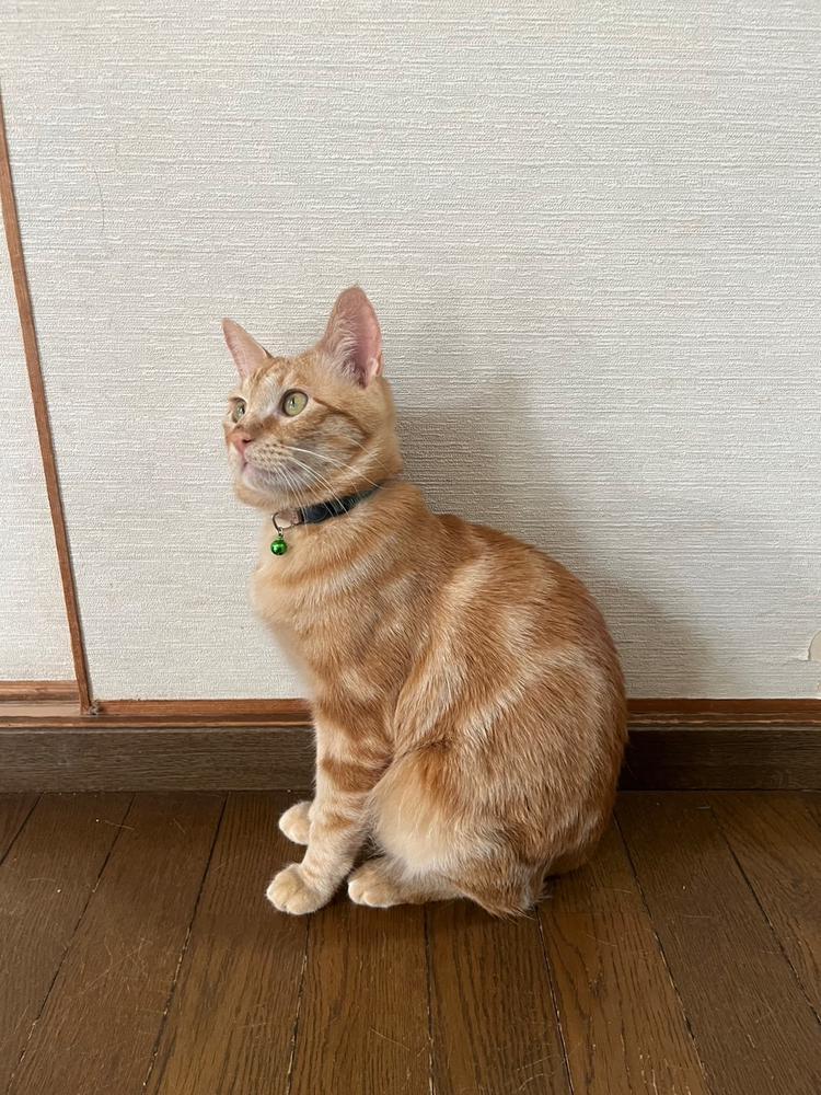 0712🐈‍⬛💜 なぎさですっ