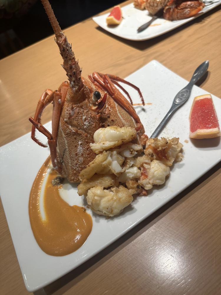 ‎🤍‎🤍‎🤍