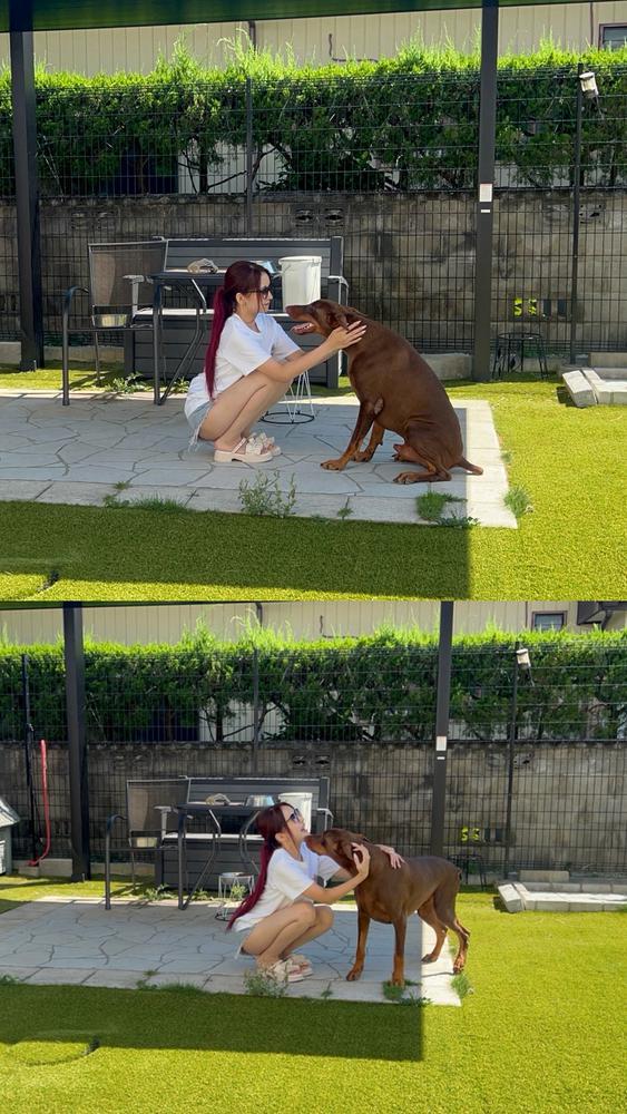 ‎🤍‎🤍‎🤍