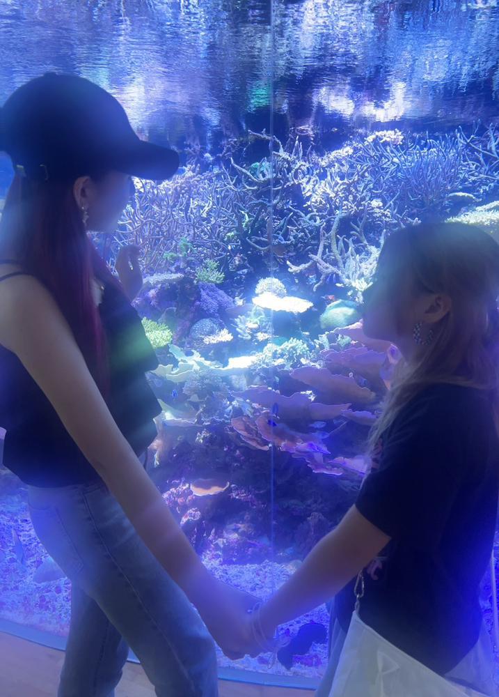 ‎🤍‎🤍‎🤍