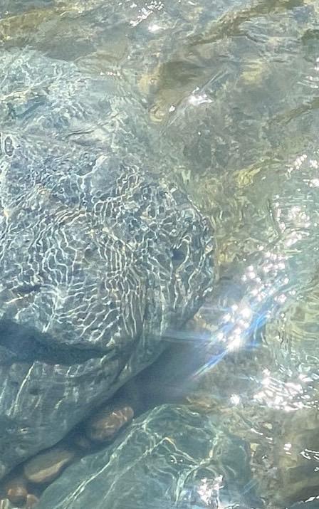 イベント最終日😖🍉🌻💦