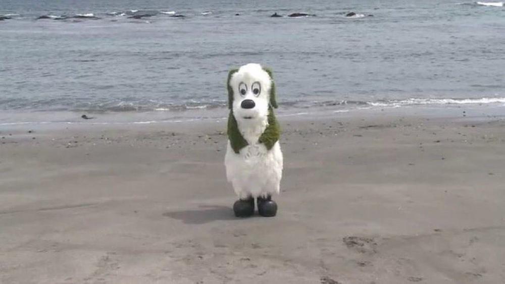 写真ない📷💦