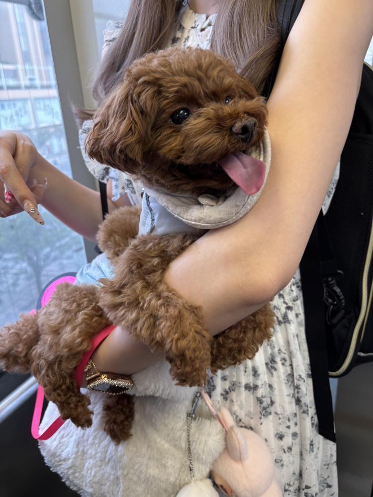 久しぶりの実家🏠