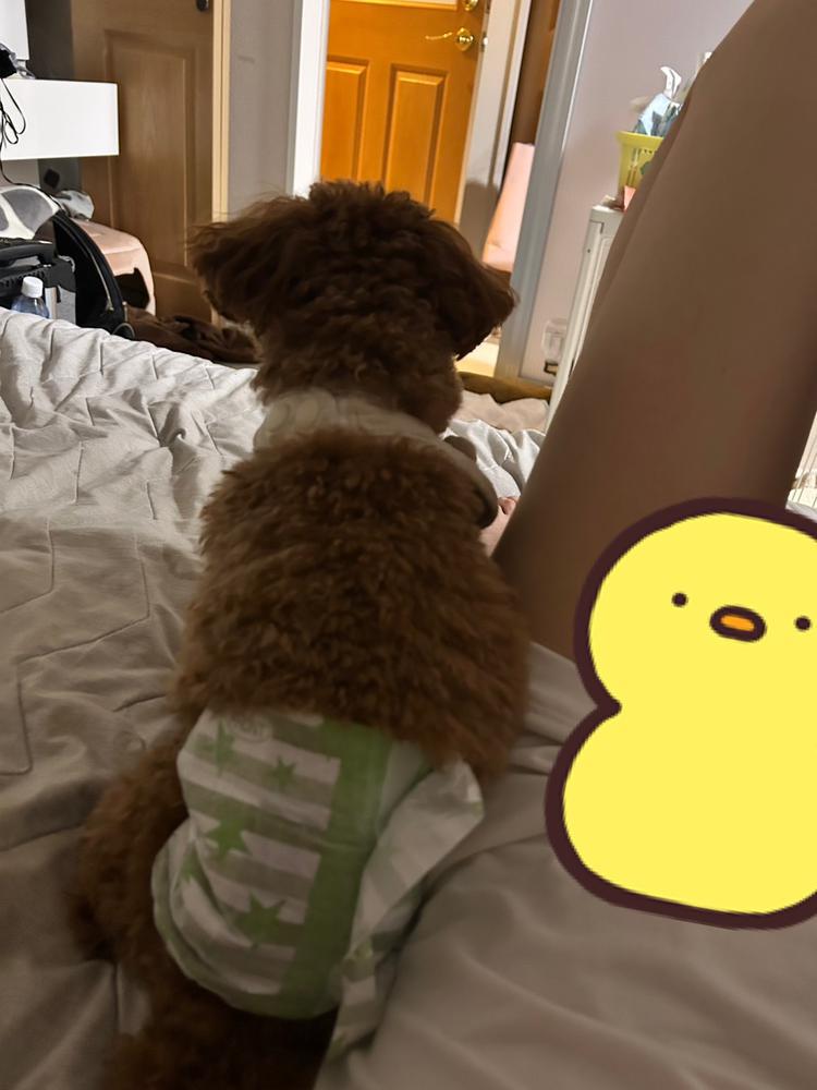 最近暇すぎて人権ないよー