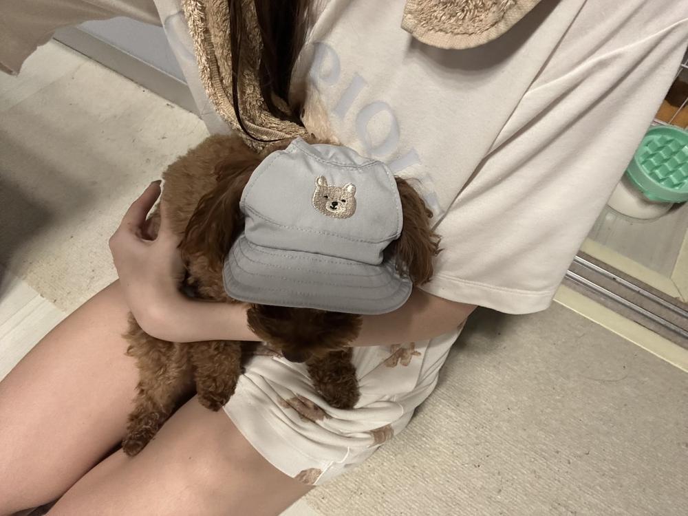 最近本当にお酒飲めない