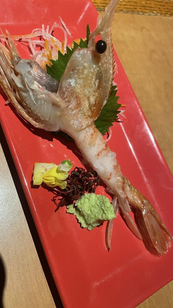 えび🦐