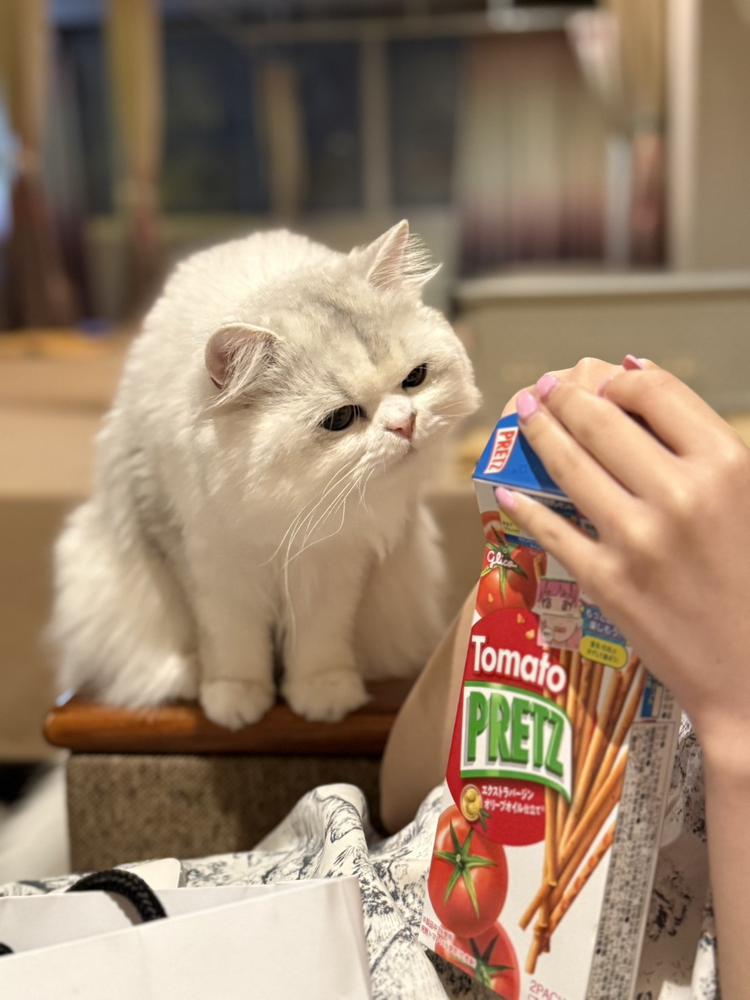 えーオアシス///