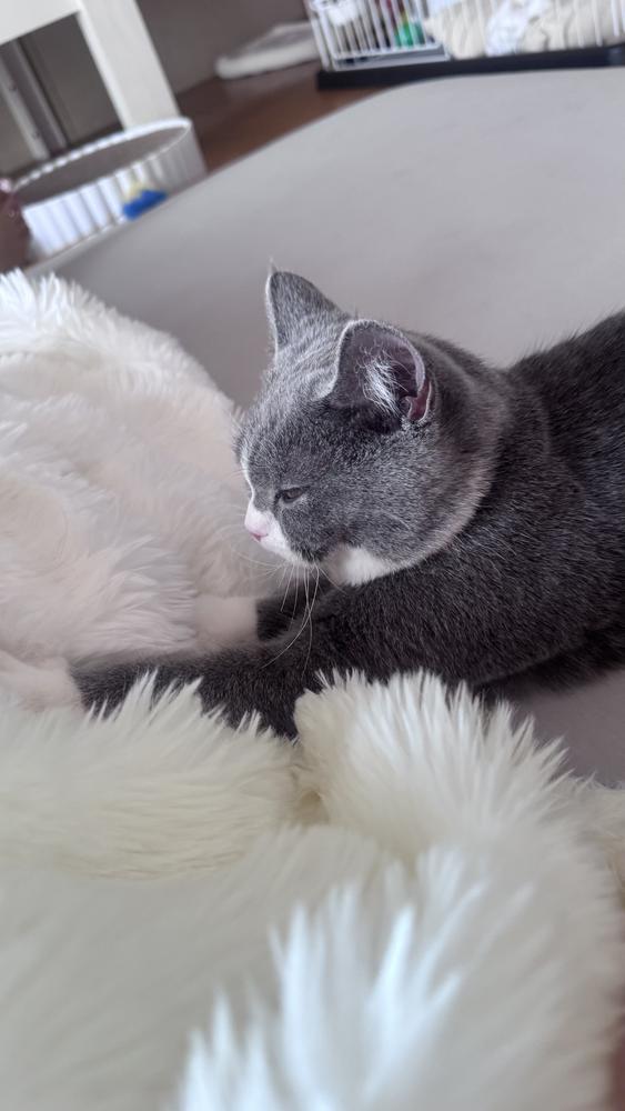 金曜日早すぎーー( ◜ᴗ◝ )