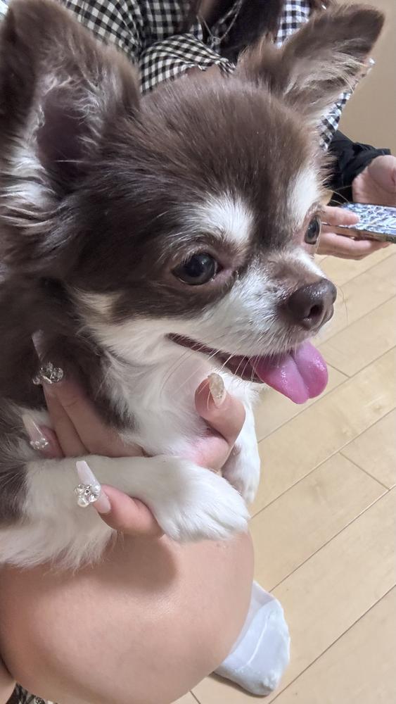 月曜日になりました🌟