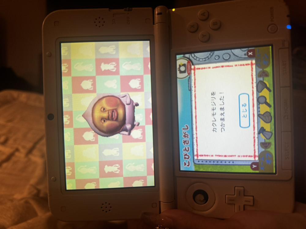 こびとづかん♪♪